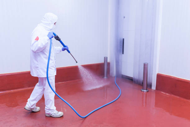 Paint Preparation in Myrtle Grove, FL